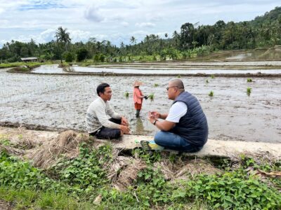 Kepala BPP Kecamatan Mandalawangi Pastikan Produksi Pertanian Meningkat